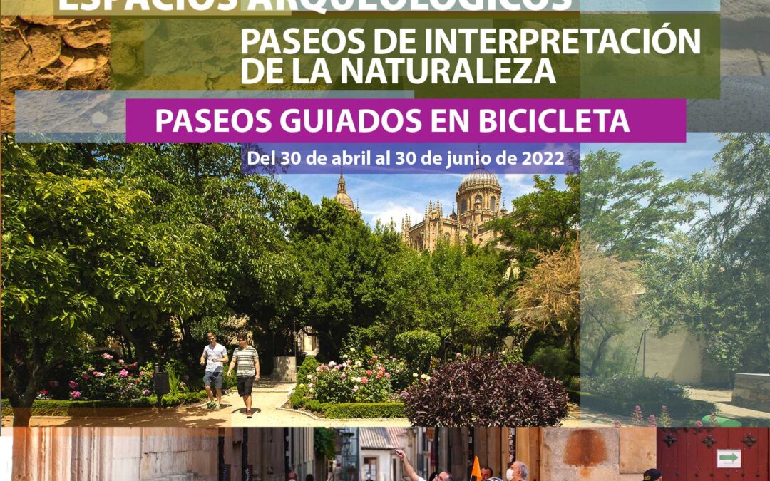 Las mejores visitas guiadas en bici, sobre arqueología y naturaleza en Salamanca